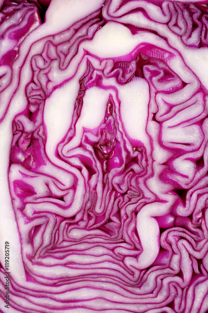Cut face of red cabbage background