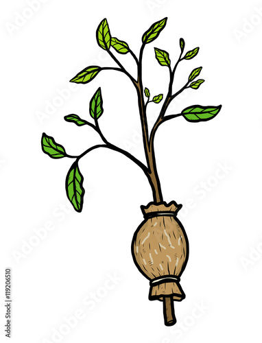 plant graft / cartoon vector and illustration, hand drawn style, isolated on white background.