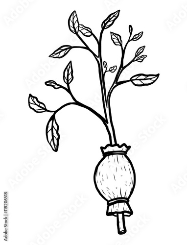 graft plant / cartoon vector and illustration, black and white, hand drawn, sketch style, isolated on white background.