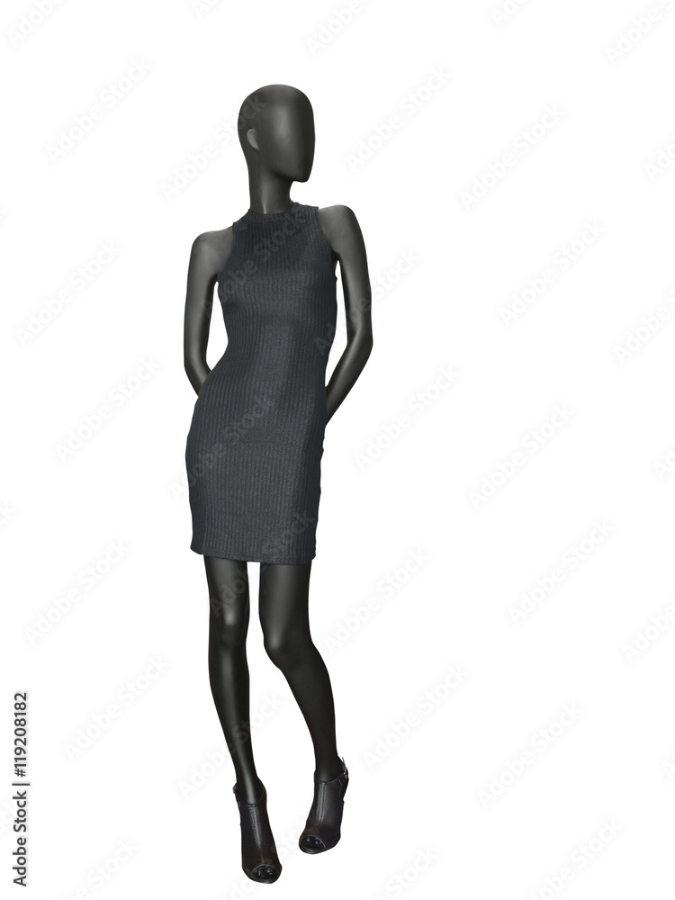 Female mannequin dressed in black dress. Female mannequin dressed in black dress.