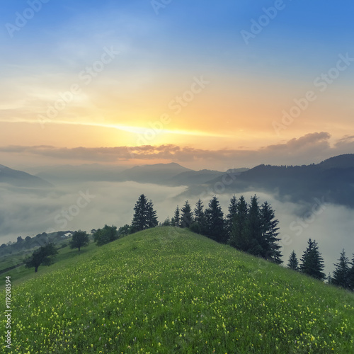 Foggy mountain landscape under morning sky. Carpathian mountains, Ukraine. © beerlogoff