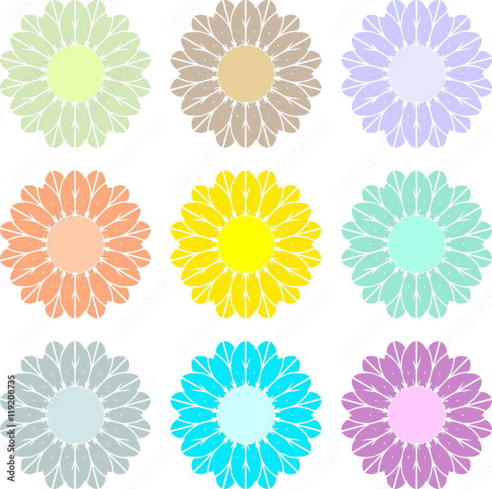 Flowers dahlias of multiple colors 2 Flowers dahlias of multiple colors 2