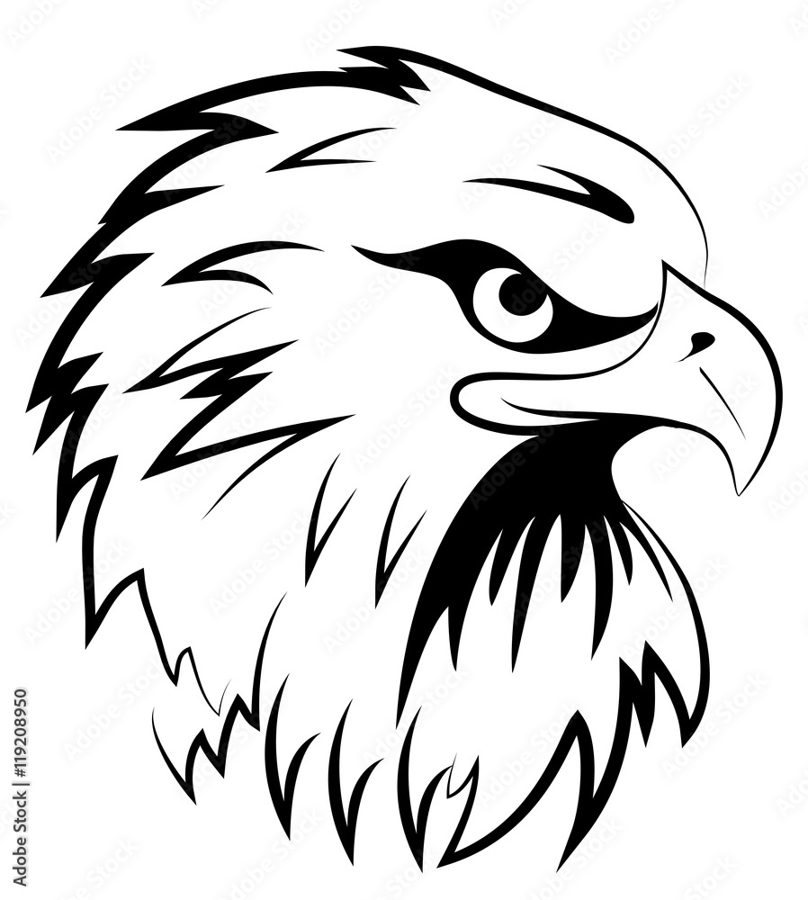 Obraz premium Fighting hawk