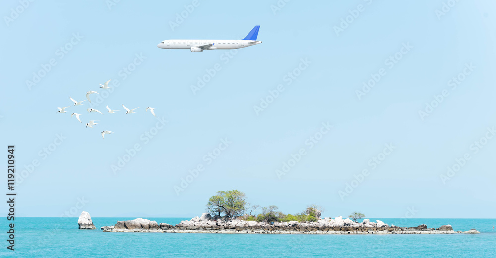 flock of birds forming arrow shape with airplane on blue sky abo