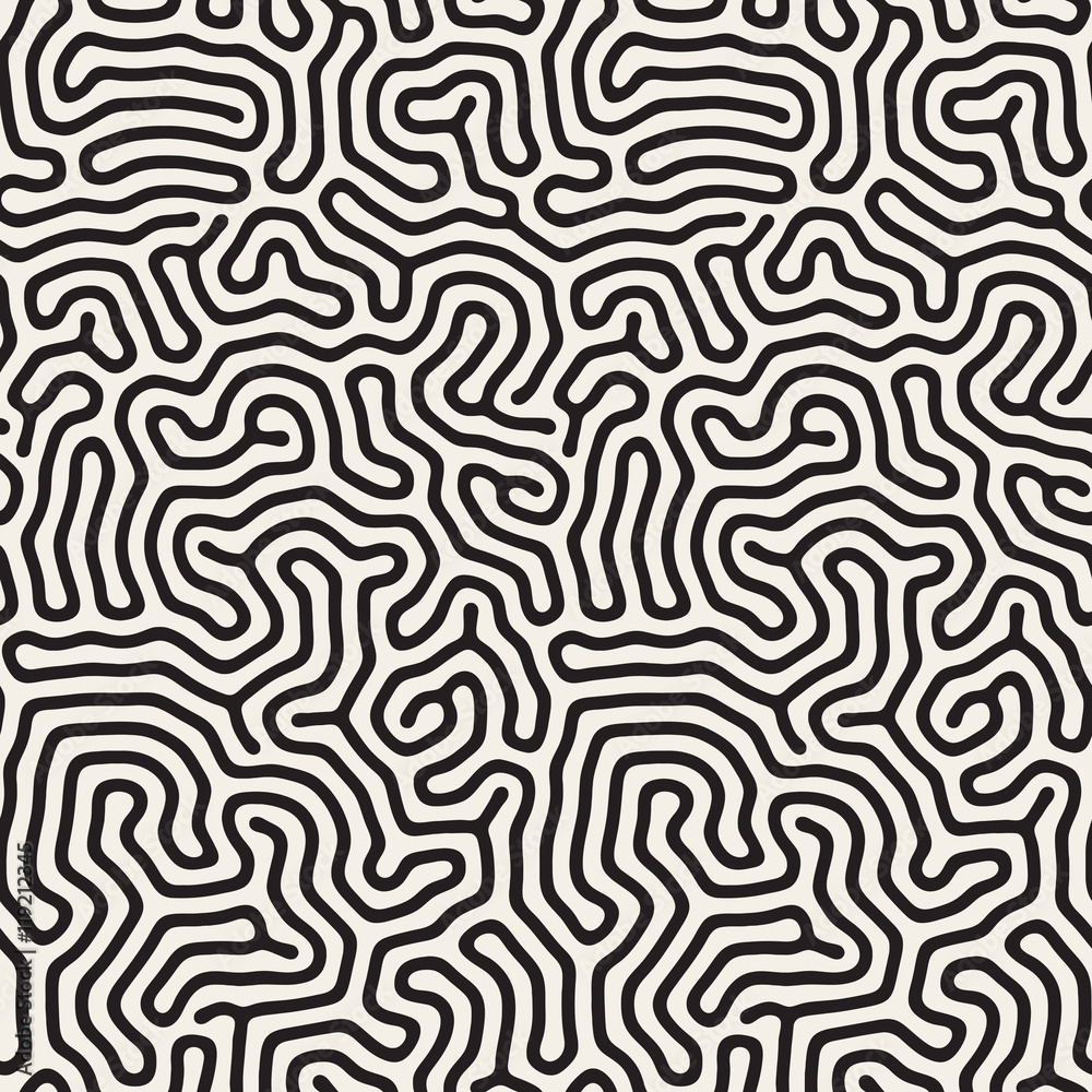 Obraz premium Vector Seamless Black and White Organic Lines Pattern