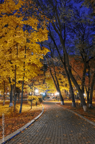 Beautiful autumn city park at night