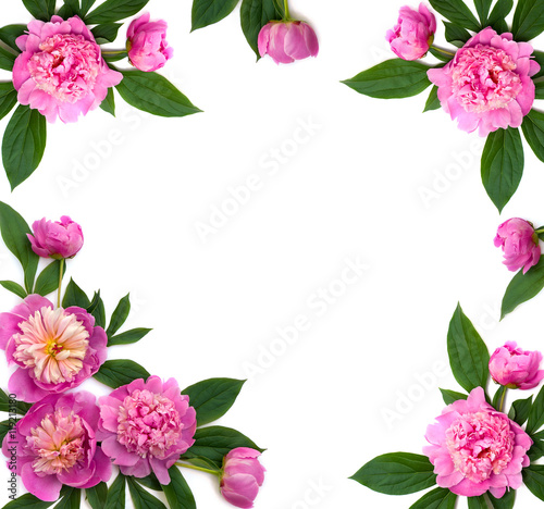 Fototapeta Naklejka Na Ścianę i Meble -  Pink peonies on a white background with space for text. Flat lay