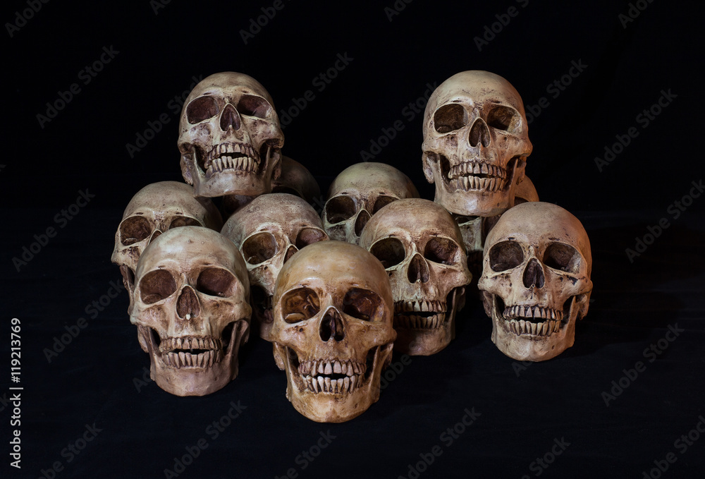 Pile of multi skulls on dark background, Still life style Pile of multi skulls on dark background, Still life style
