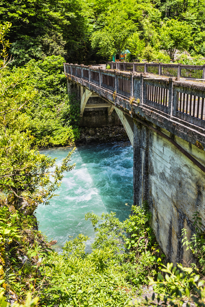 Landscape in Abkhazia with stone bridge over river Landscape in Abkhazia with stone bridge over river