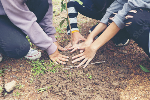 Tableau sur toile Volunteers to plant trees
