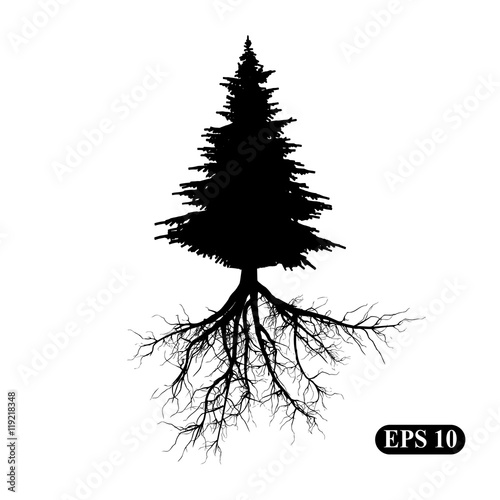 Tree with roots