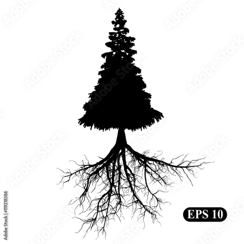 Tree with roots