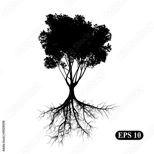 Tree with roots