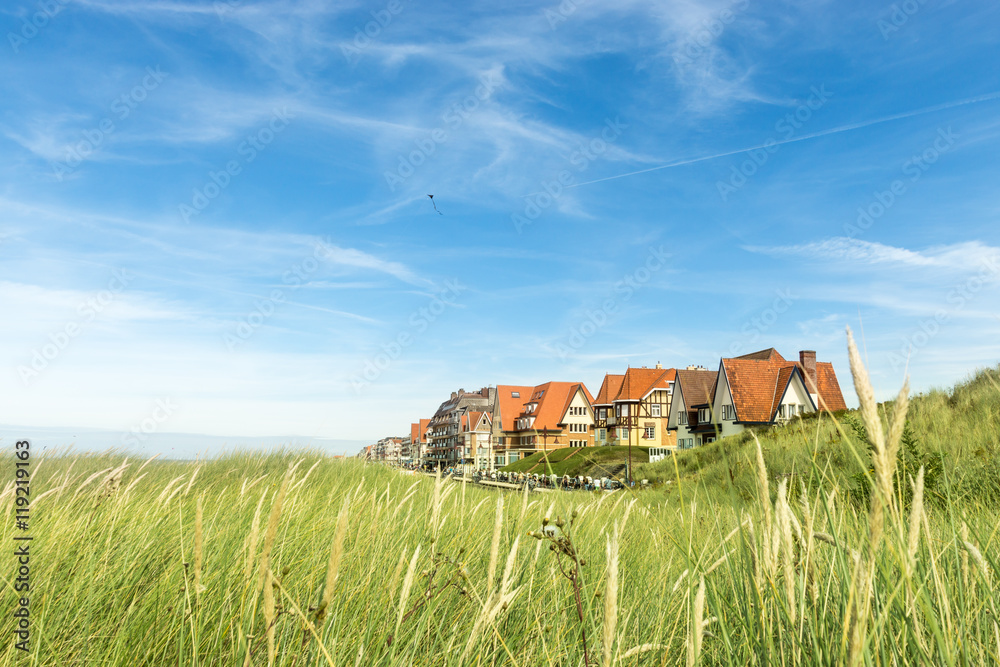 Fototapeta premium Coast line in Belgium with Dunes and typical houses. 