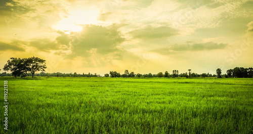 Coutryside of Thailand