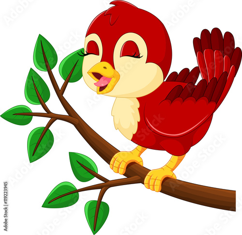 Cute bird singing