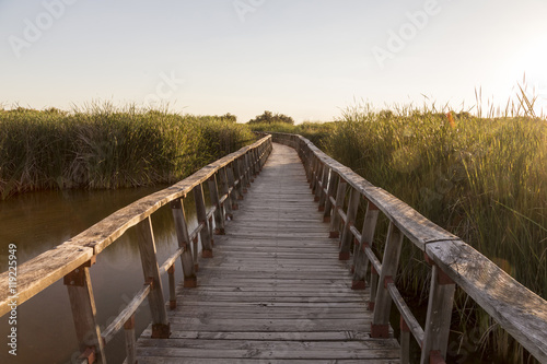 Bridge to visit the Tablas de Daimiel National Park in Spain © bsanchez