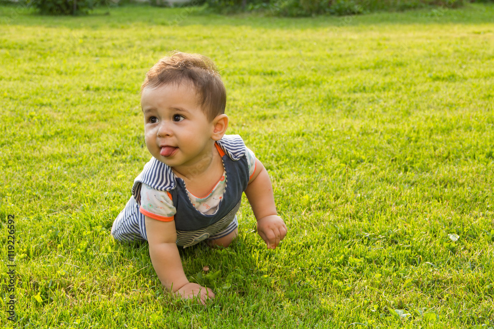 little baby learning to crawl on the grass a Sunny summer day. the concept children's development by months. happy child playing in the Playground little baby learning to crawl on the grass a Sunny summer day. the concept children's development by months. happy child playing in the Playground