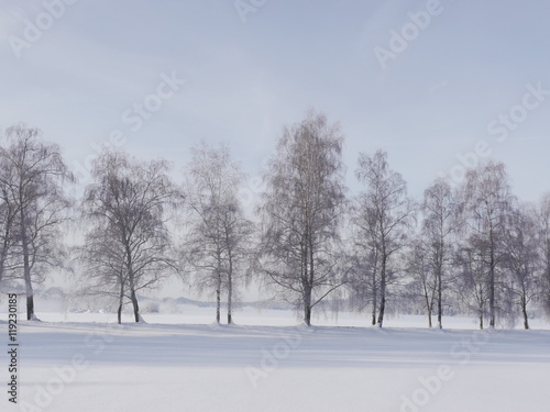 snow landscape winter