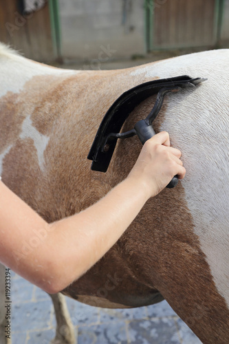 Φωτογραφία jeune fille 11 ans faisant la toilette d'un poney