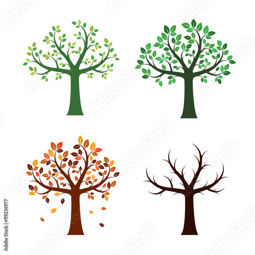 Set Trees and For Seasons. Vector Illustration.
