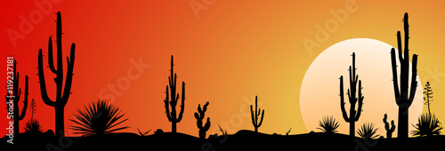 Mexico desert sunset.                                                                                                                      