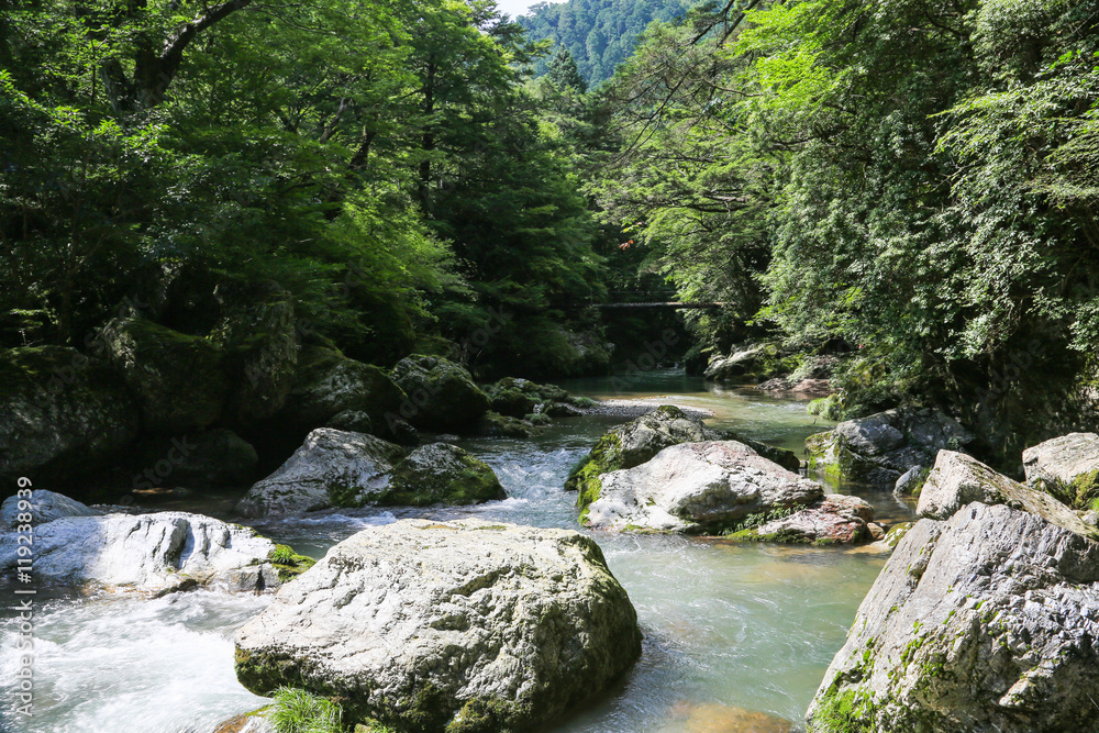 愛媛県内子町 小田深山渓谷の風景 愛媛県内子町 小田深山渓谷の風景