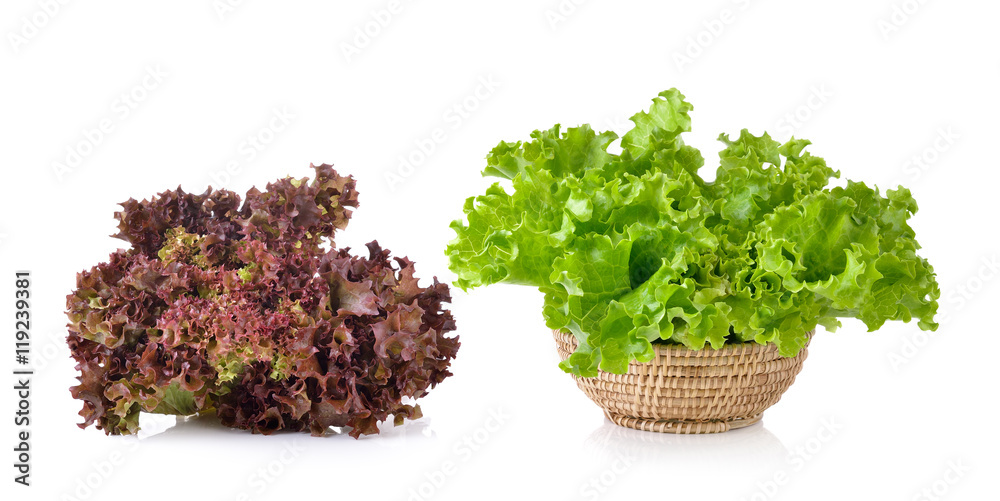 Fresh lettuce isolated on a white background Fresh lettuce isolated on a white background