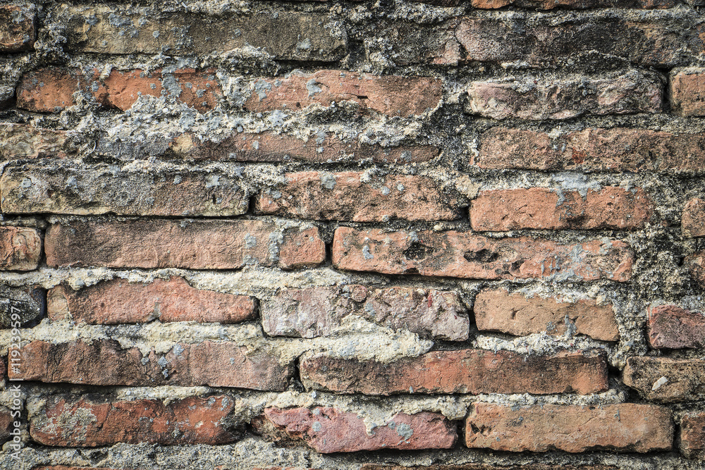 real medieval brick wall surface can use as background pattern or texture with real light at old town Songkhla Thailand (Vintage style)
real medieval brick wall surface can use as background pattern or texture with real light at old town Songkhla Thailand (Vintage style)