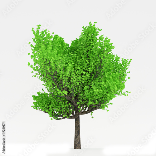 tree 3D render