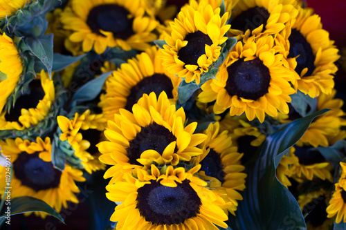 Fototapeta Naklejka Na Ścianę i Meble -  sunflowers bouquet