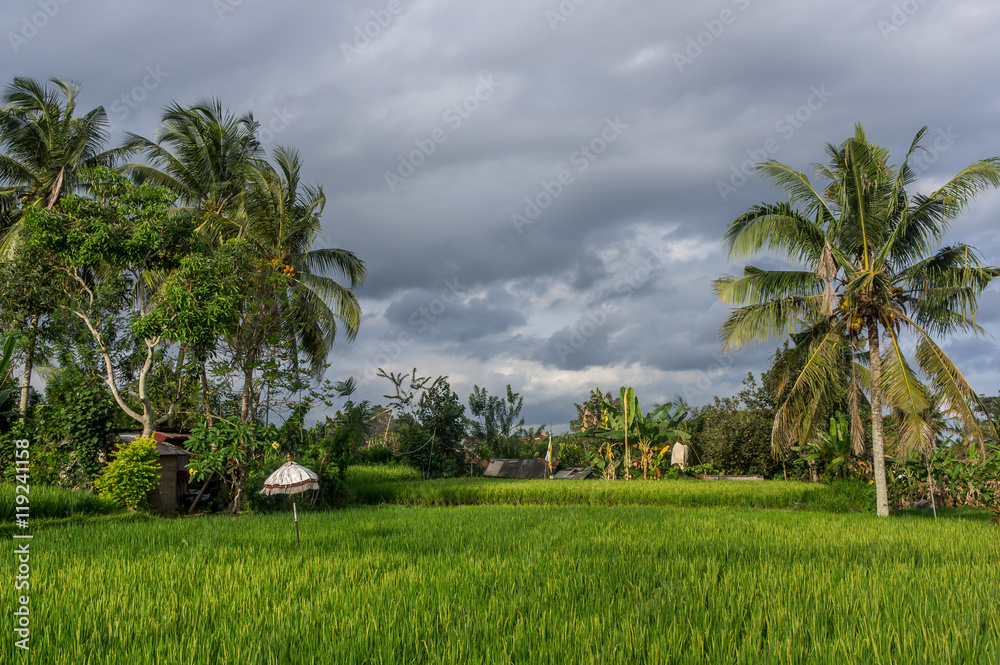 Penestanan village, Ubud, Bali, Indonesia Penestanan village, Ubud, Bali, Indonesia