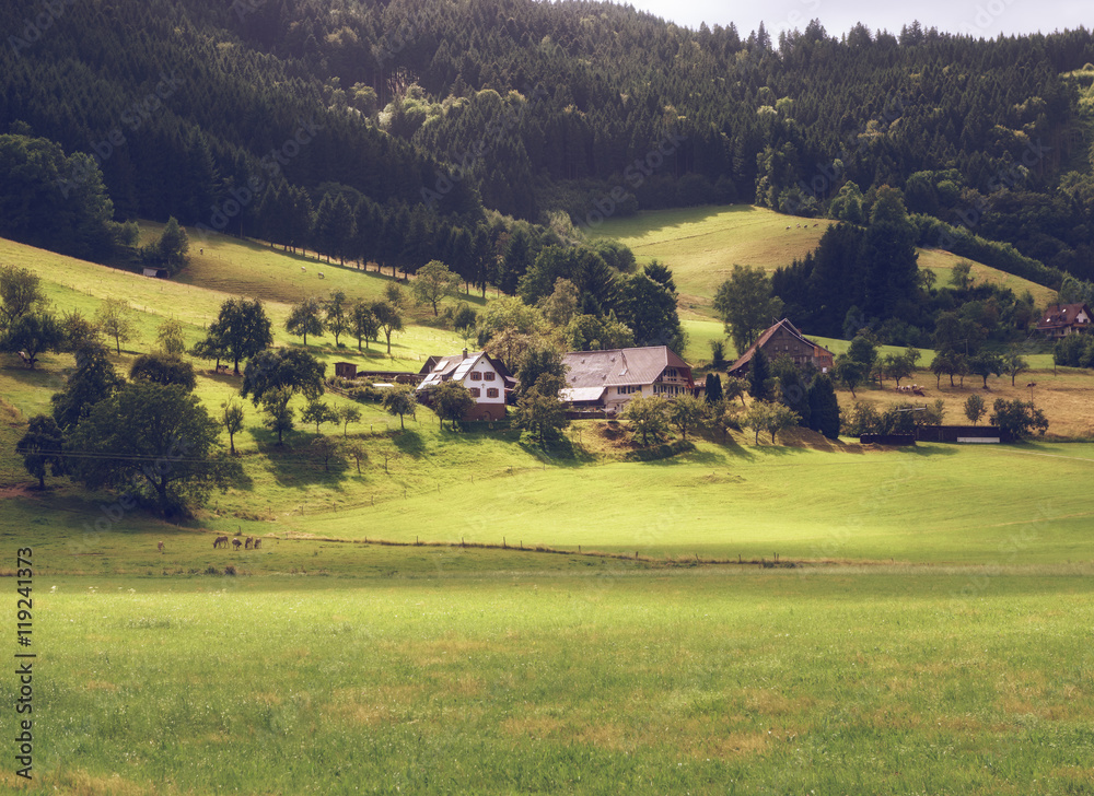 Scenic countryside landscape: green summer mountain valley with forests, fields and old houses in Germany, Black Forest Scenic countryside landscape: green summer mountain valley with forests, fields and old houses in Germany, Black Forest