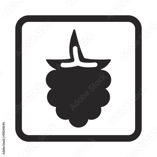 raspberry icon