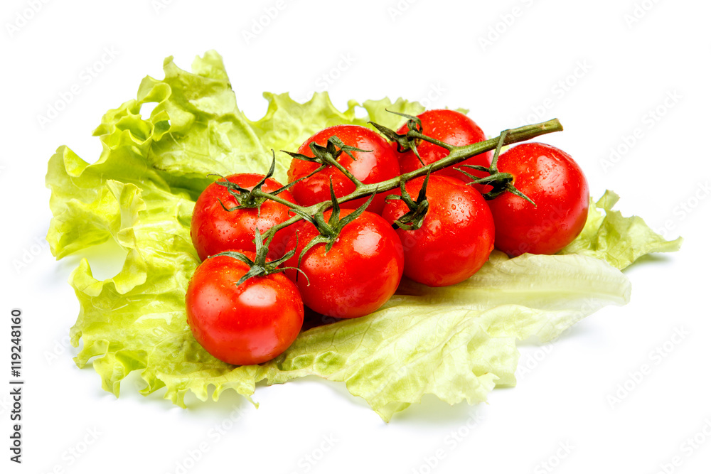 Plum tomatoes with leaves on white background Plum tomatoes with leaves on white background
