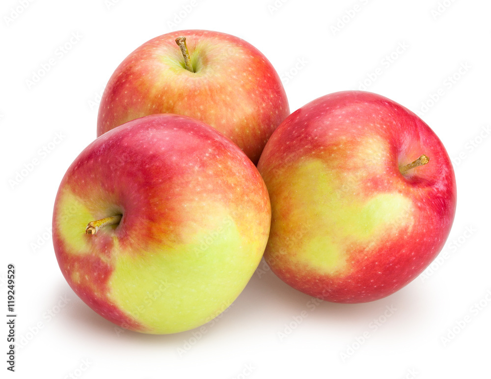 apples apples