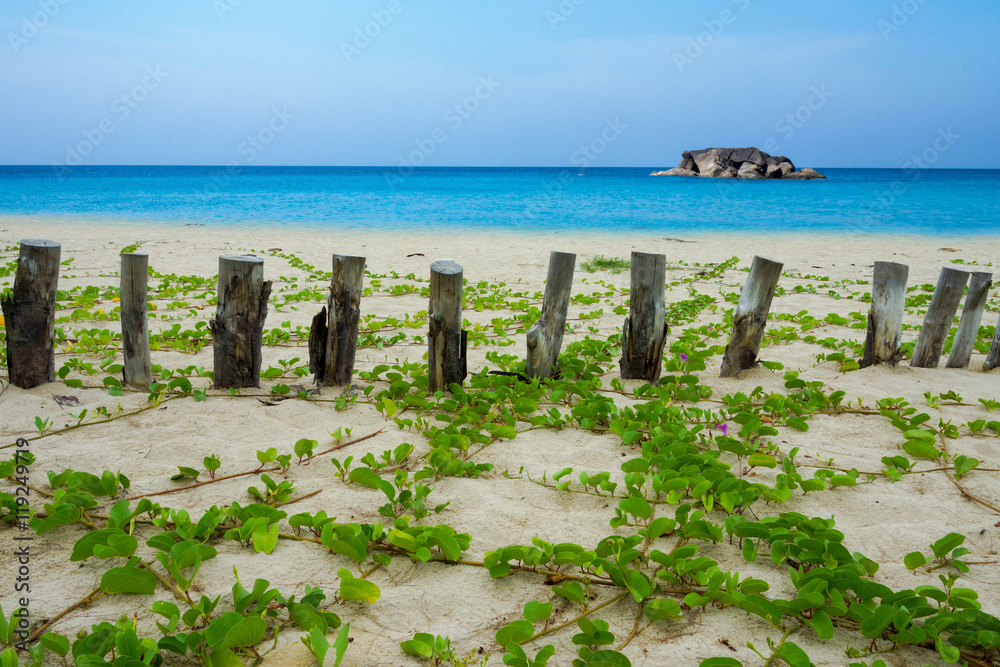Fototapeta premium Timber on the beach