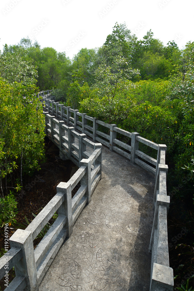Natural mangrove walkway. Thailand travel.
