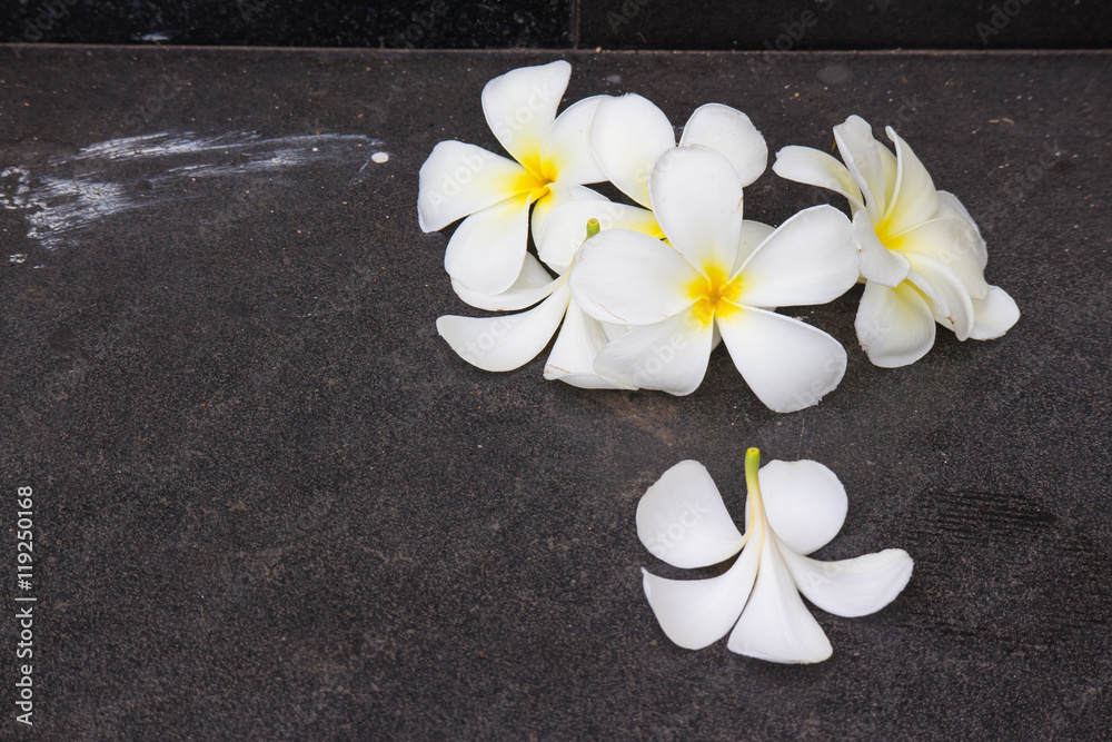 Plumeria flower drop on staircase Plumeria flower drop on staircase