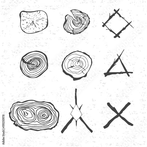 Design elements of tree rings and the composition of the branche