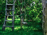 wooden swing in the garden, staircase and apple