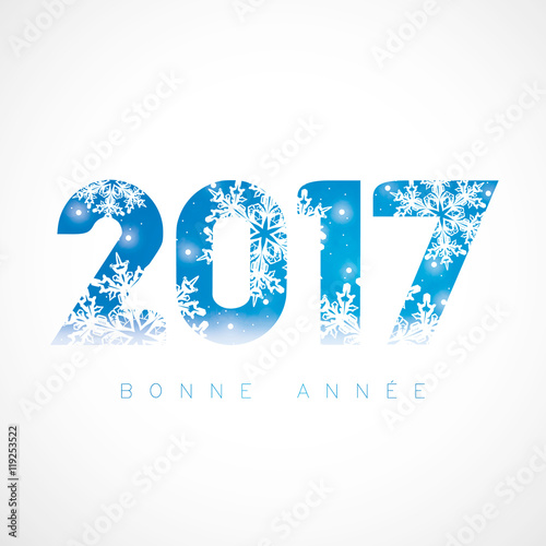 2017 - Flocons sur fond bleu