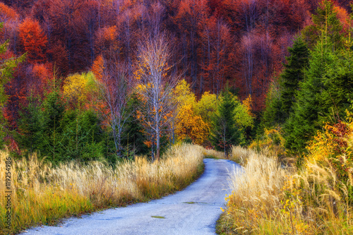 Fototapeta Naklejka Na Ścianę i Meble -  Colorful autumnal trees in the Beskidy Mountains in Poland.