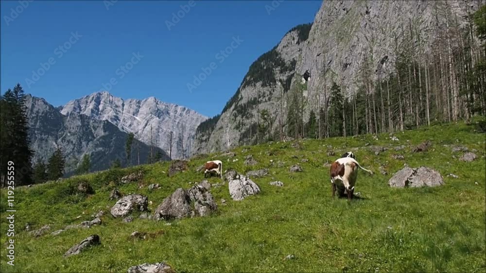 Berchtesgadener Land