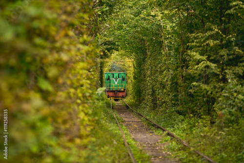 Beautiful tunnel. Same Train running in Natural tunnel of love formed by trees in Klevan, Ukrain.