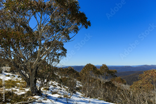 Alpine Wilderness Australia Mt Franklin photo