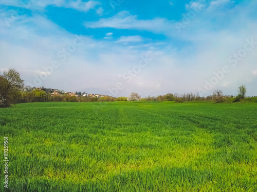 Green field and blue sky in springtime