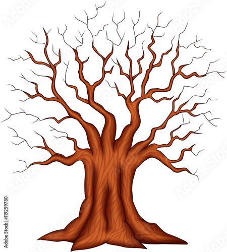 Dead tree isolated on white background 