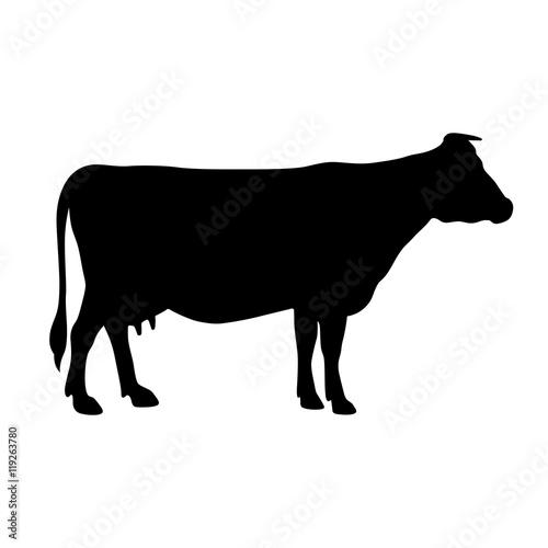 Cow  shade picture