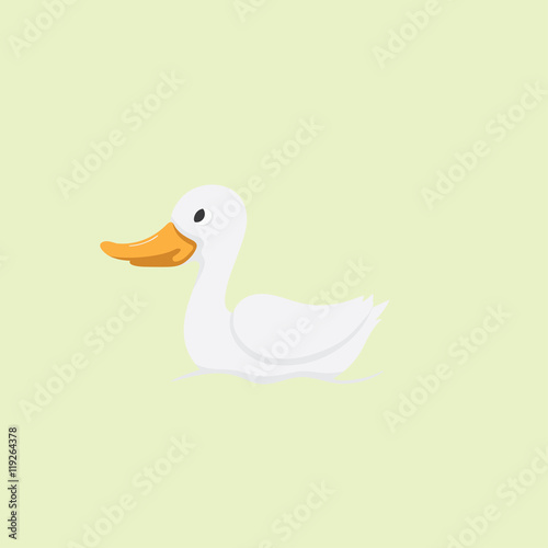 Illustration duck
